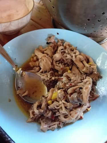 Żagwica listkowata