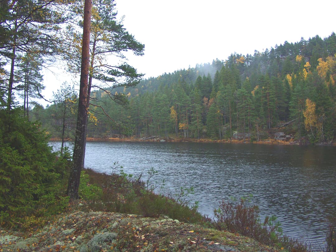 Dalsland: szwedzkie prawo dostępu w praktyce