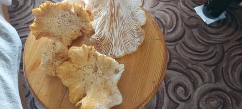 Pieczarniaki