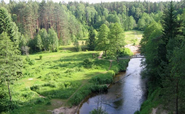 Litwa: zbieranie w kraju piaszczystych borów