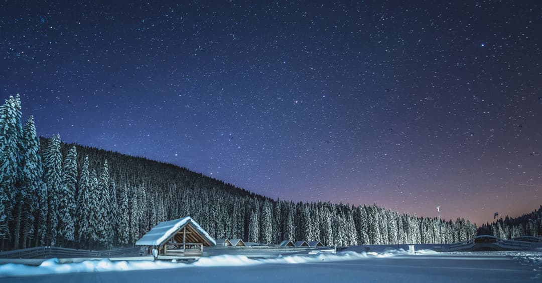 Pokljuka: grzybowy spacer, nie wyścig po limit