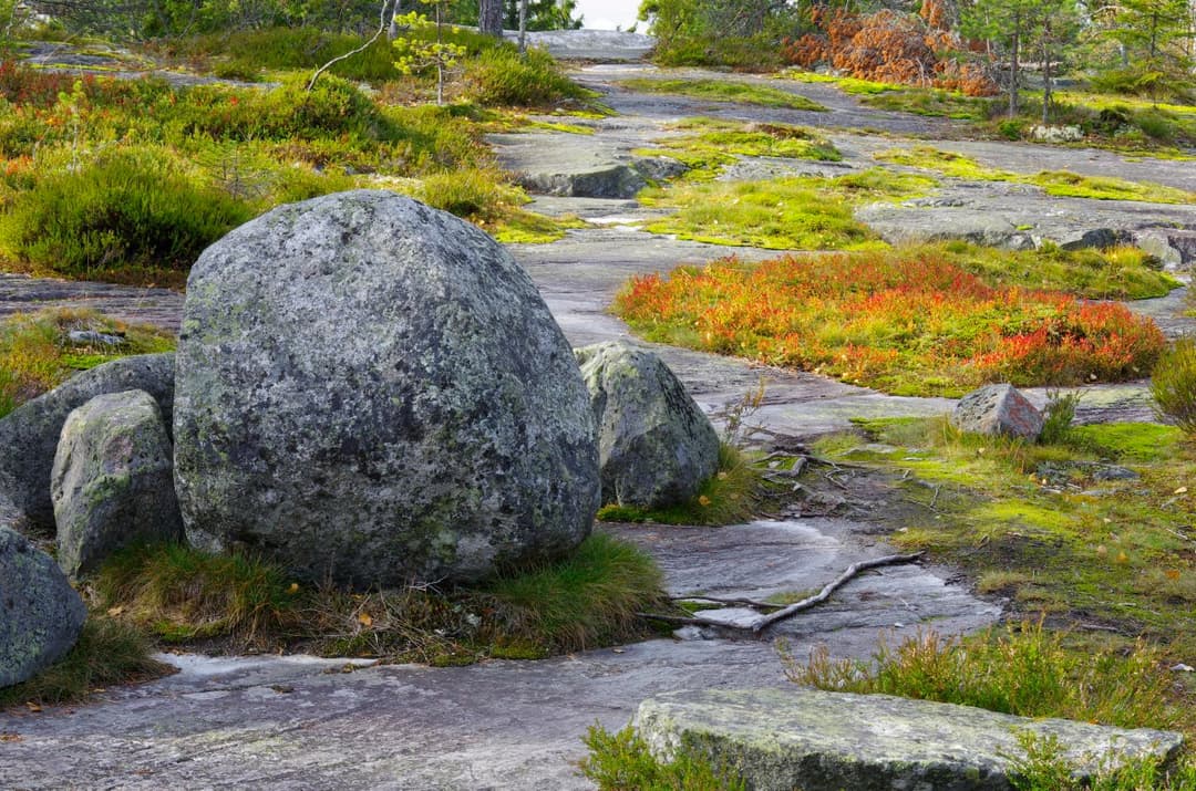 Koli: jesień nad Pielinen, nie wyścig po koszyk